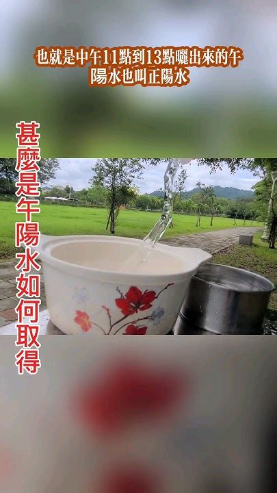 午陽水